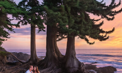 Planning a Honeymoon