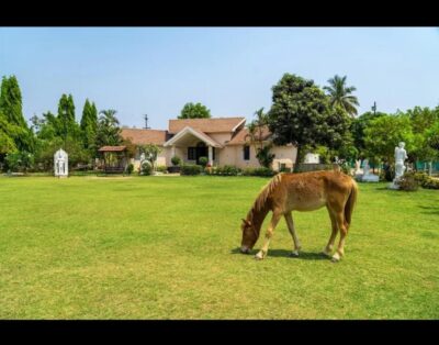 PETALS FARMSTAY